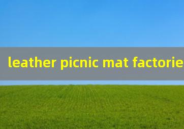 leather picnic mat factories